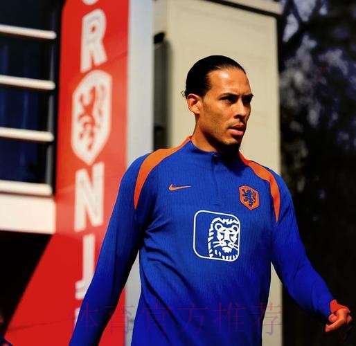 2026世界杯荷兰德布劳内阵容解析深度解读